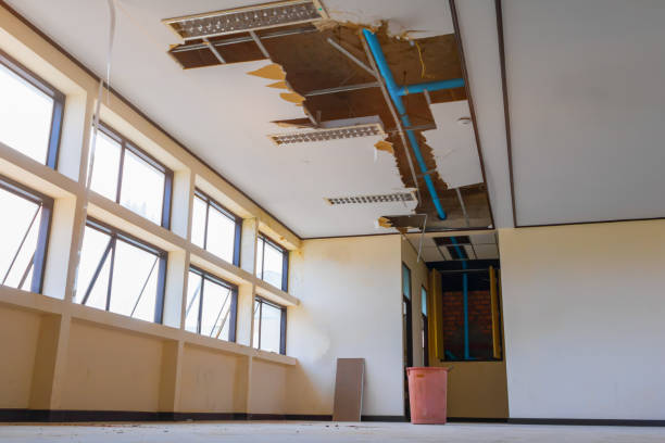 Best Carpet water damage restoration  in Colma, CA
