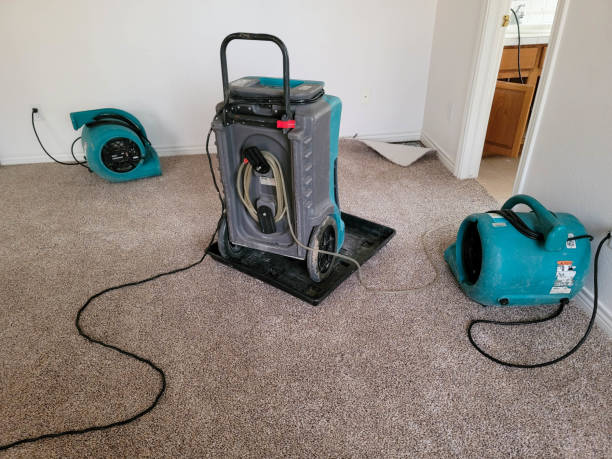  Colma, CA Water damage restoration Pros