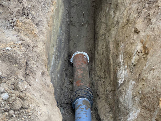 Best Flood damage cleanup  in Colma, CA