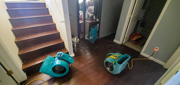 Best Professional water damage repair  in Colma, CA