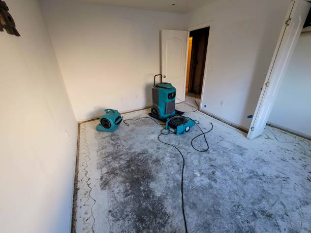 Best Flood restoration services  in Colma, CA