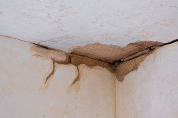 Best Sewage cleanup and water damage restoration  in Colma, CA