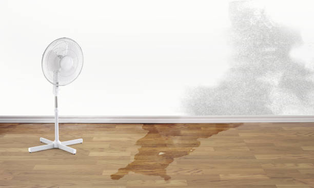 Best Flood restoration services  in Colma, CA