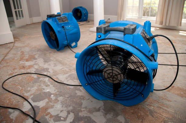 Best Commercial water damage restoration  in Colma, CA
