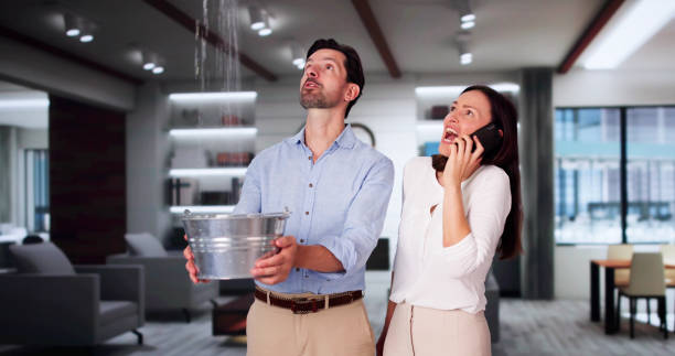 Best Basement water damage restoration  in Colma, CA
