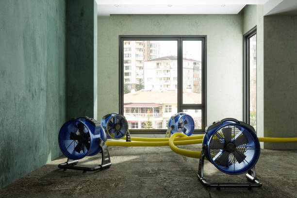 Best Local water damage restoration  in Colma, CA